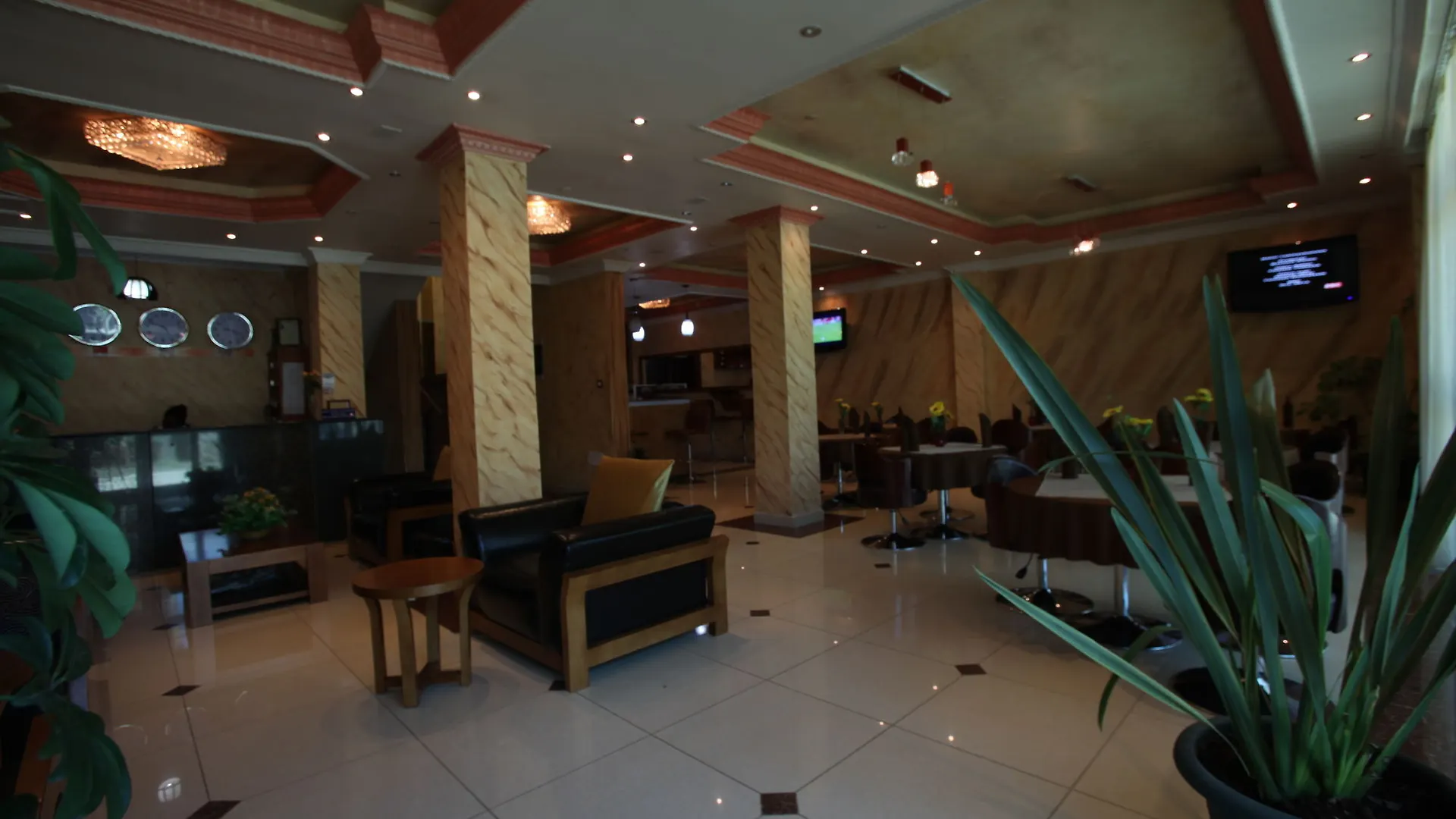 Ark Hotel Addis Adis Abeba