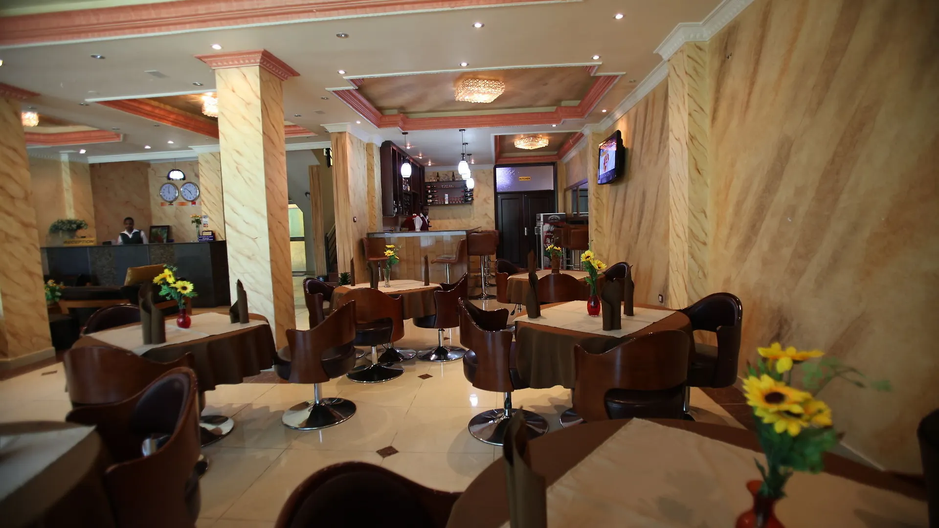 Ark Hotel Addis  Adis Abeba